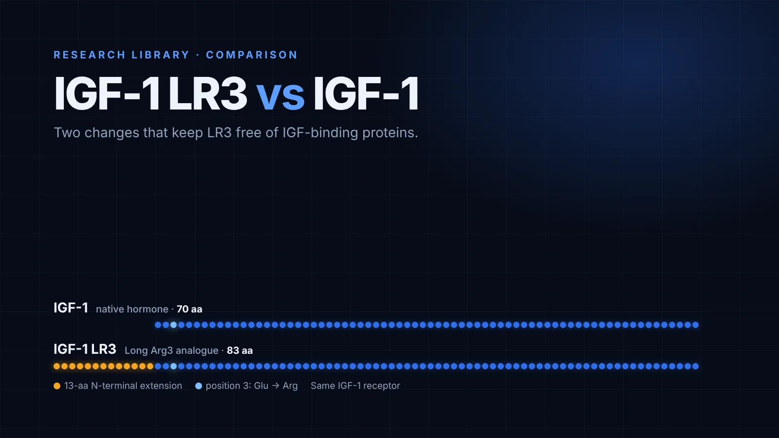 IGF-1 LR3: How the Long-R3 Analogue Differs From Native IGF-1