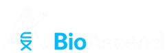 BioAscend
